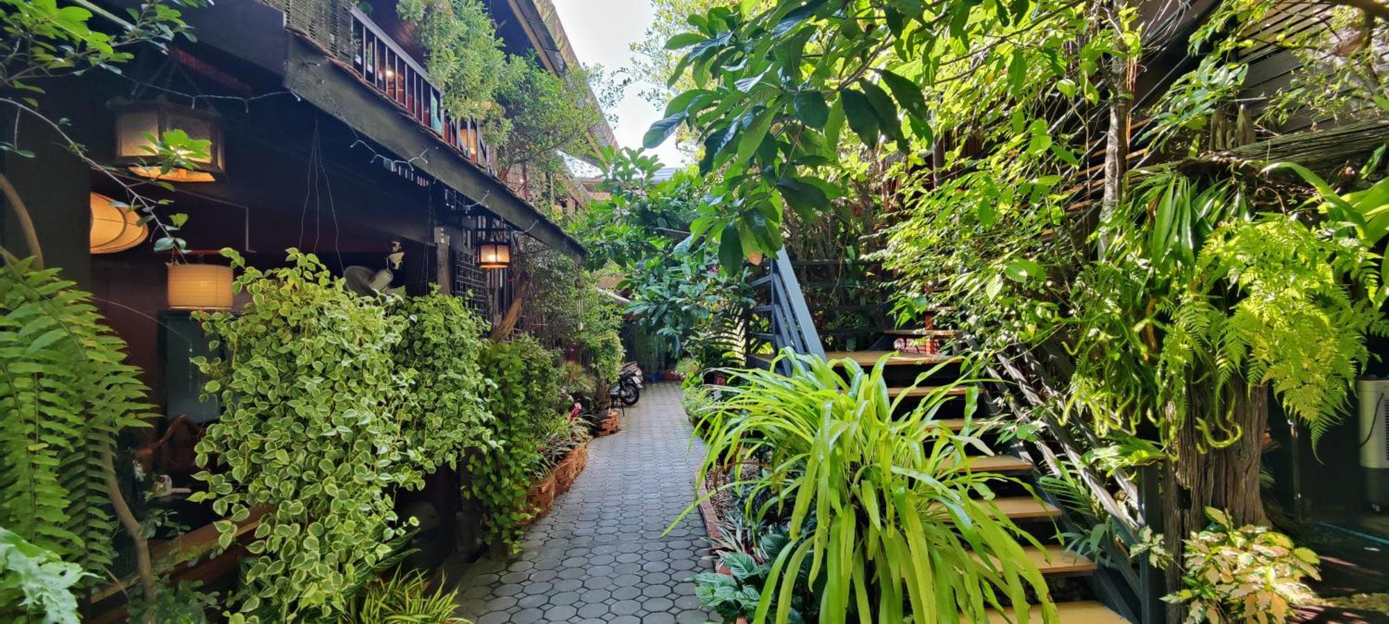 Hoh Guesthouse Chiang Mai Exterior foto